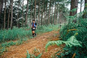 BIB: 
                            <button type="button" onclick="openModal(25691258)" class="btn btn-primary btn-sm float-right btn-popup" data-toggle="modal" data-target=".modal-high-quality">
                        <i class="fas fa-shopping-cart"></i> Add to Cart
                    </button>
                                            <button type="button" onclick="isThisMe(25691258, true)" class="btn btn-success btn-sm float-right btn-popup btn-isme hidden" data-toggle="tooltip" data-placement="bottom" title="นี่คือรูปของคุณใช่ไหม คลิกที่นี่เพื่อเอาเข้าอัลบั้ม">
                        <i class="fas fa-plus"></i> Add to album
                    </button>
                    <button type="button" onclick="isThisMe(25691258, false)" class="btn btn-warning btn-sm float-right btn-popup btn-isnotme hidden">
                        <i class="fas fa-ban"></i> Remove from album
                    </button>